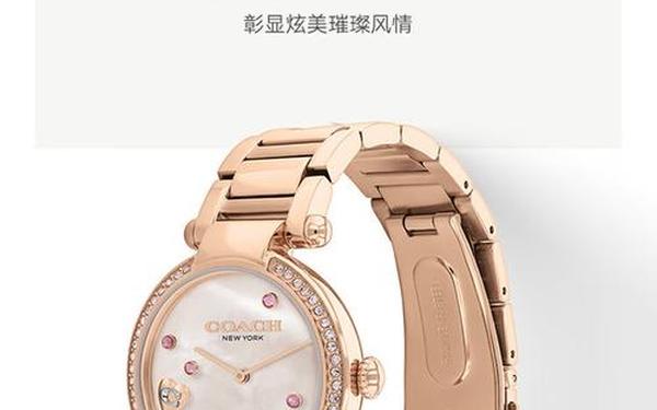 coach表官网价格表(蔻驰中国官网手表价格)