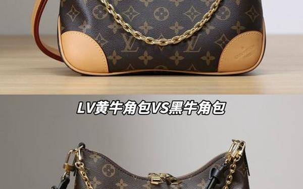lv新款牛角包的缺点(牛角包lv多少钱一个)