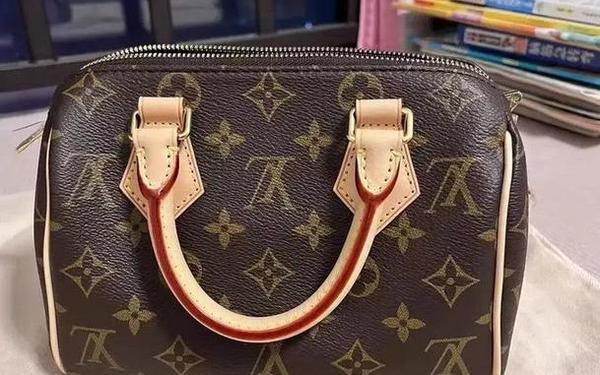 lv手拿包,lv手提女包