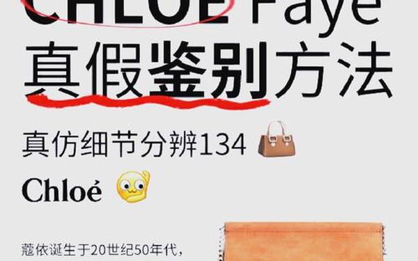chloefaye翻译、chloe faye是谁