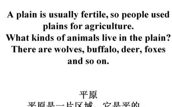 laperla翻译(lainp的中文翻译)