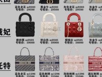 dior中国官网官网 ysl官网包包中国官网