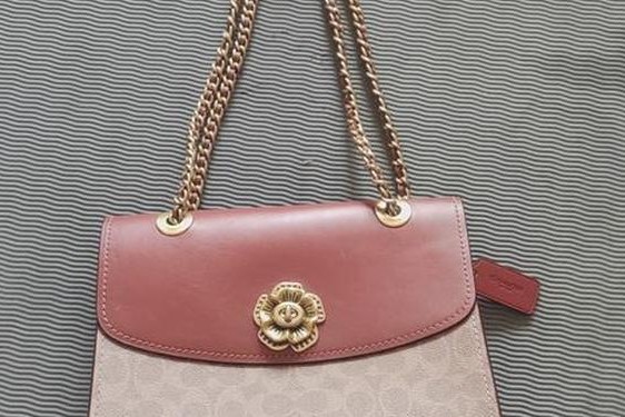 coach经典款女包_coach今年最火的女包