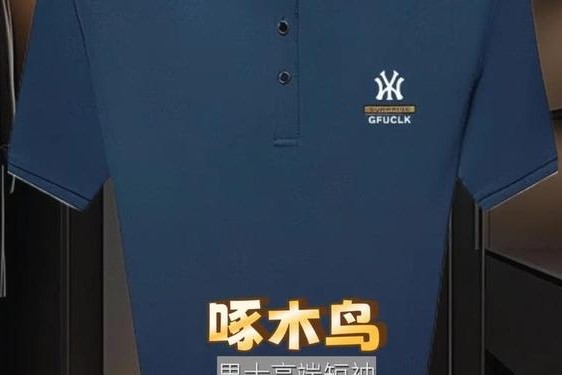 polo衫有什么牌子(十大高端polo衫品牌)