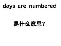 subcrew怎么读_gnarly俚语是什么意思