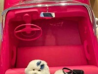 dior官网宠物、dior官方旗舰店