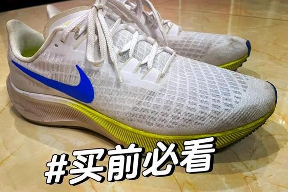pegasus37 飞马37和飞马39哪个好