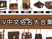 lv中文名叫什么—LV中文名