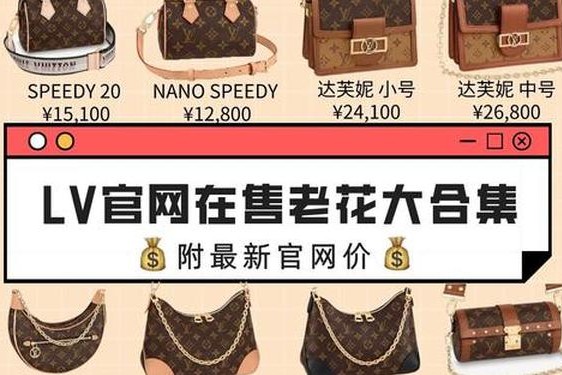 lv法国网站(lv官网登录入口)