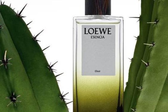 loewe是什么牌子中文、西班牙品牌LOEWE的特点