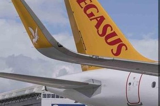 pegasus官网(pegasus航空)