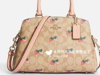 coach台湾官网入口_coach中国官方网