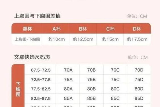 体重和内衣尺码对照表;胸罩36-80什么意思