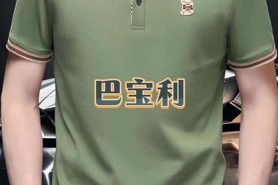 保罗衣服标志哪个贵—保罗衣服品牌有几种