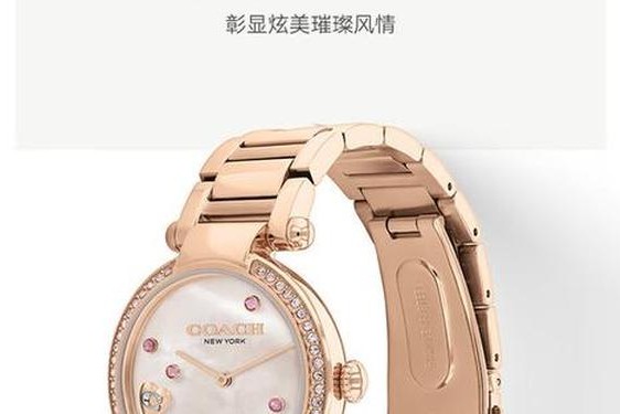 coach表官网价格表(蔻驰中国官网手表价格)