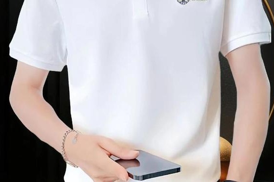 polo衫品牌大全 男士高端polo衫品牌