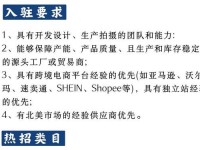 temu跨境电商入驻-跨境电商有哪些平台可以做