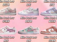 nikedunk所有系列;nikedunk是什么系列