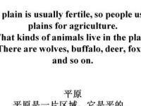 laperla翻译(lainp的中文翻译)