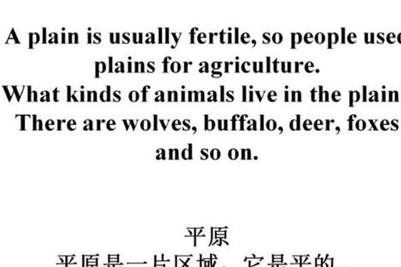 laperla翻译(lainp的中文翻译)