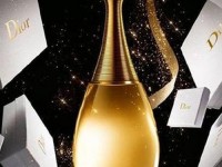 dior官网香港官网—dior官网hk