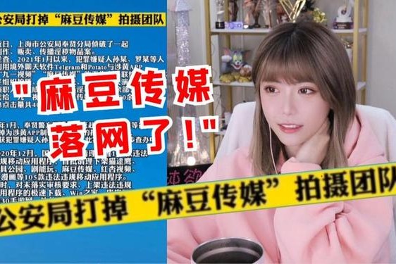 rs232国产(麻花传剧mv无痕免费观看)