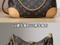 lv新款牛角包的缺点(牛角包lv多少钱一个)