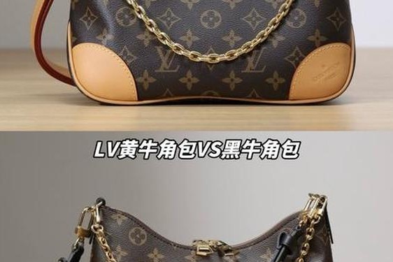 lv新款牛角包的缺点(牛角包lv多少钱一个)