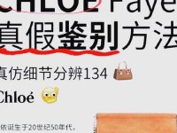 chloefaye翻译、chloe faye是谁