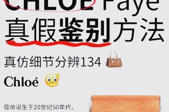 chloefaye翻译、chloe faye是谁