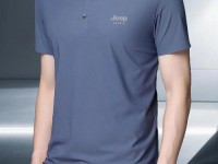 polo衫旗舰店-正品polo衫标志图片价格